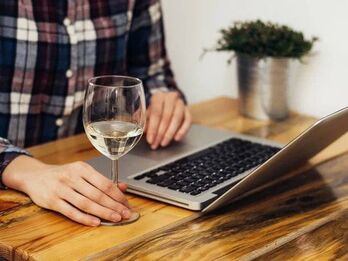 Consultoría en los mejores vinos