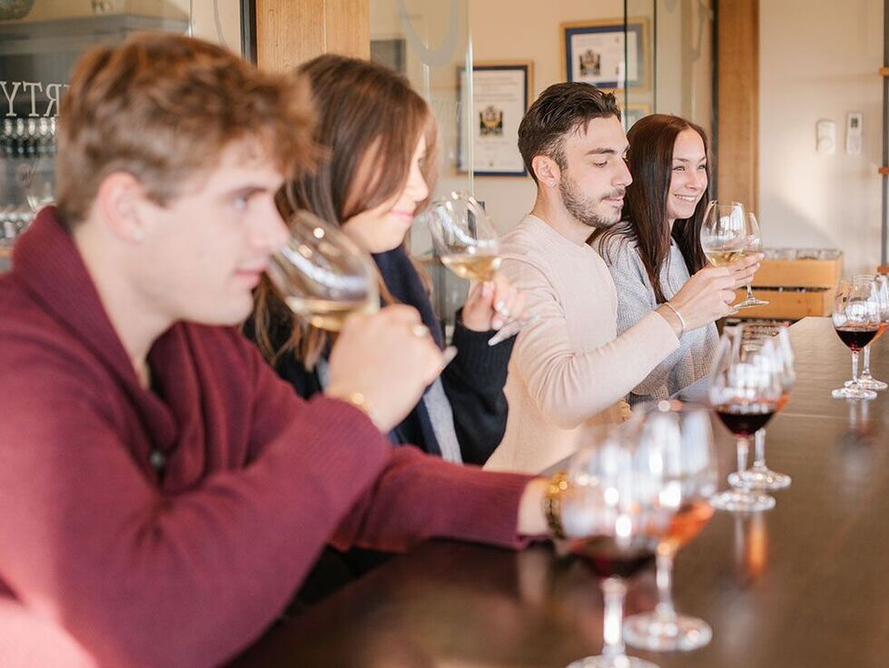 Catas y cursos sobre los mejores vinos