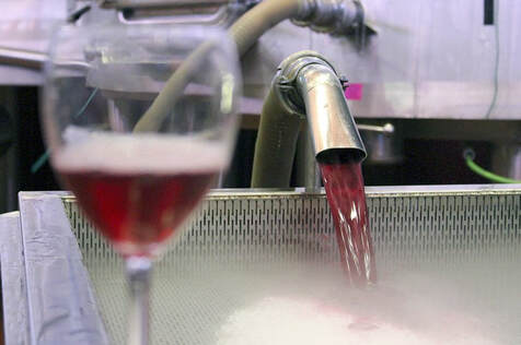 Elaboración de vinos rosados. Proceso de desangrado parcial de la cuba