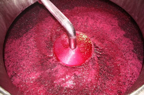 Elaboración de vinos tintos. Proceso de fermentación de las uvas