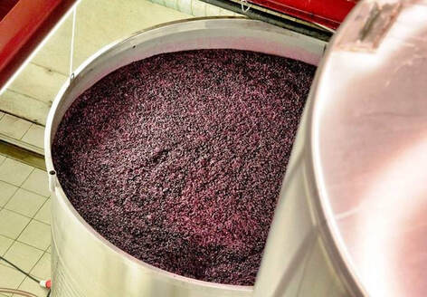 Elaboración de vinos rosados. Proceso de fermentación
