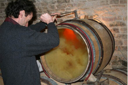 Elaboración de vinos blancos. Proceso de fermentación en barrica