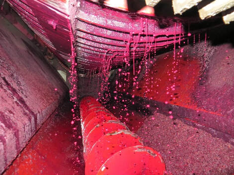 Elaboración de vinos rosados. Proceso de prensado