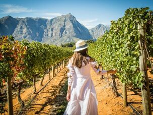 Sudafrica: descubre su historia, mejores vinos y regiones vinicolas