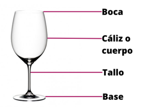 ¿Qué tipo de copa elegir para cada vino?